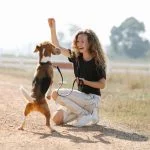 Pet training