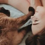 Joys of Pet Adoption