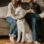 Right Dog Breed