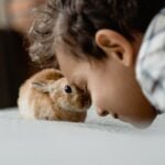 Small pets can make great companions for kids