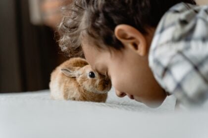 Small pets can make great companions for kids