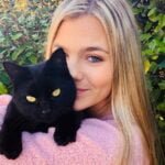 Black Cats and Their Breeds