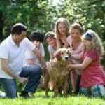 How to Introduce a New Dog to Your Household