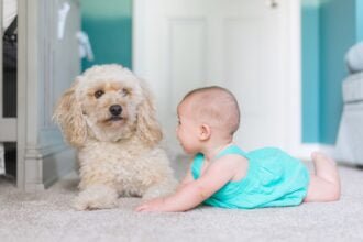 Preparing Your Dog for a New Baby