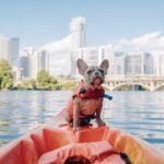 Water Safety Tips for Dogs