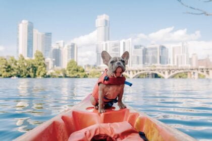 Water Safety Tips for Dogs