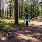 Dog-Friendly Hikes in Rochester, NY