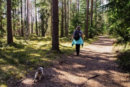 Dog-Friendly Hikes in Rochester, NY