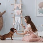 Engaging Indoor Activities and Games for Your Dog
