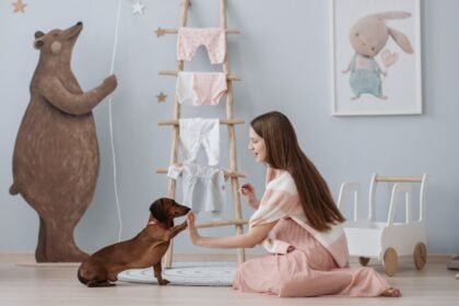 Engaging Indoor Activities and Games for Your Dog