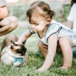 Helping Kids Interact with Cats Tips and Advice
