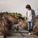 How Far Can I Walk My Puppy