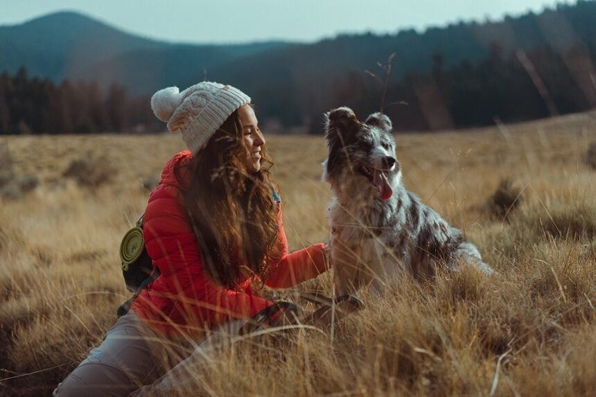 Visiting Custer State Park with Dogs