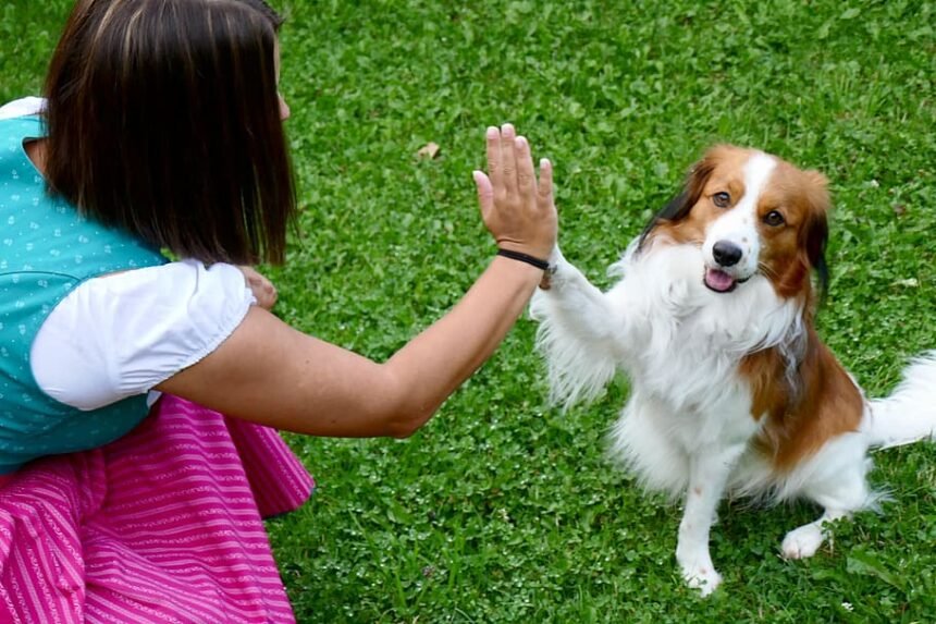 Training Dogs with Hand Signals