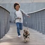 Calm Hyperactive Dogs